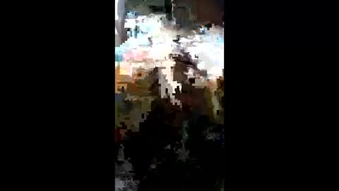 carrilloeverardo219 online show from March 2026 11:31:02 PM