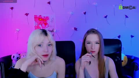 casey_meow_ online show from June 2026 08:53:01 AM