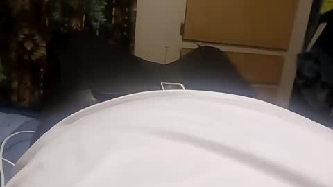 Sir Stroke Alot online show from February 2025 09:00:02 AM