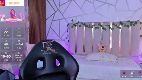 casse_tay online show from June 2026 03:31:02 AM