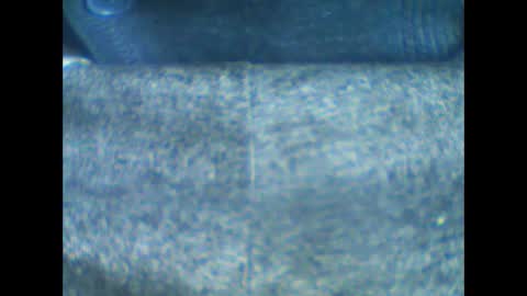 Snapshot of castells chatting on January 2026 10:52:01 AM castells online show from January 2026 10:52:01 AM