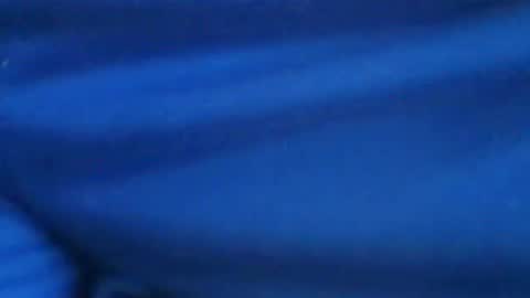 castells online show from July 2026 03:21:01 PM