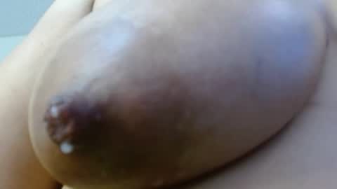 Cata  online show from December 2024 11:50:01 PM