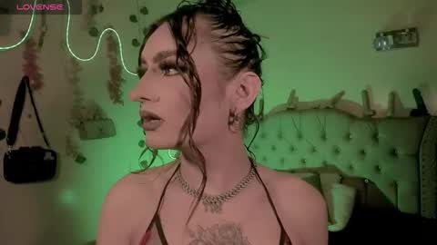 cata__mw online show from March 2026 03:56:02 AM