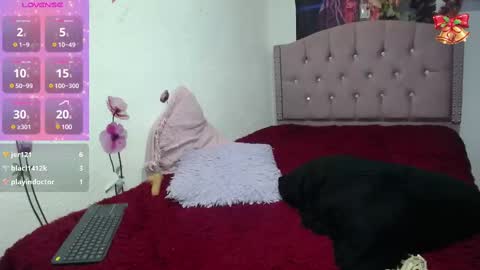 Catalina   online show from March 2025 03:49:02 PM