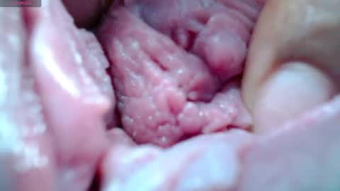 Catherina   online show from April 2026 08:15:01 PM