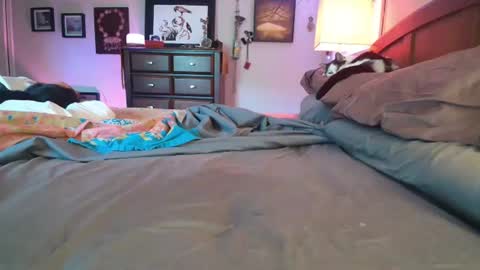 some call me djcatnips some call me CC but i love it when you call me miss catnips  online show from July 2026 05:19:01 PM