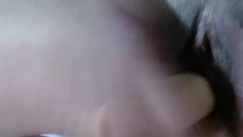 Snapshot of cattleya1618 chatting on December 2024 08:18:01 AM cattleya online show from December 2024 08:18:01 AM