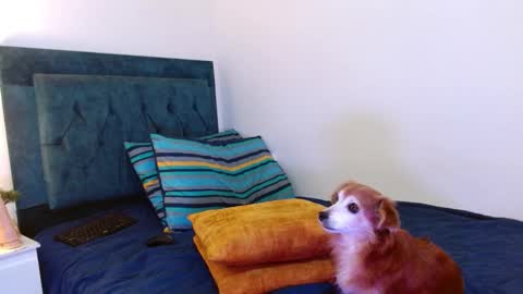 Cedrixx10 online show from October 2025 01:02:02 AM