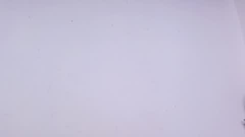 Celeste online show from October 2025 11:52:01 AM