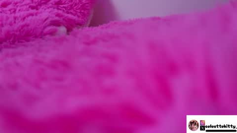 celestte_evans_1 online show from January 2026 06:17:01 AM