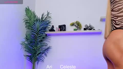 Celeste  online show from January 2025 04:13:01 AM