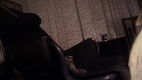 cfnmfriendly online show from October 2025 04:06:02 PM