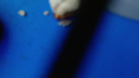 cguffey2284 online show from March 2025 04:24:02 AM