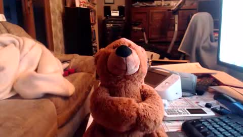 chacoa online show from February 2026 04:36:01 PM