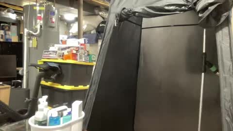chadstud411 online show from July 2026 09:09:02 PM