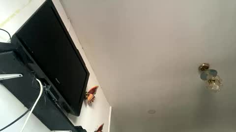 Snapshot of chanelfancy chatting on April 2026 01:09:02 PM chanelfancy online show from April 2026 01:09:02 PM