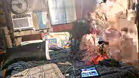 charliebroun online show from January 2026 03:10:02 AM