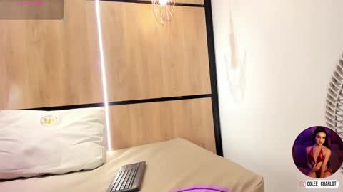 Charlotte colee online show from January 2026 11:56:01 AM