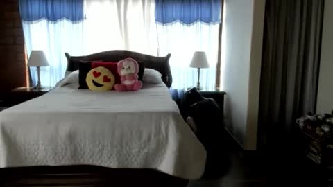 Charlotte online show from February 2026 04:35:01 PM