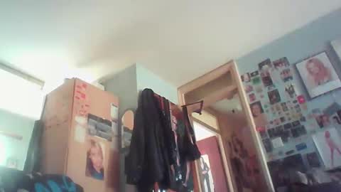 lee online show from May 2026 12:54:01 PM