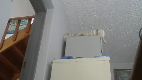 chaturbatordeluxe online show from February 2025 02:52:01 PM