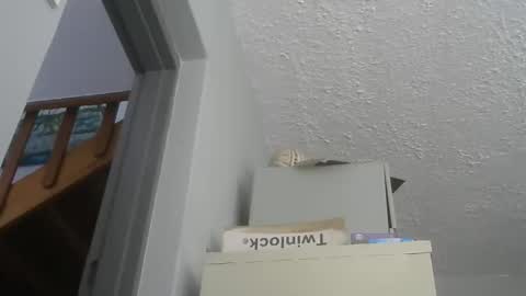 chaturbatordeluxe online show from December 2025 05:47:02 AM