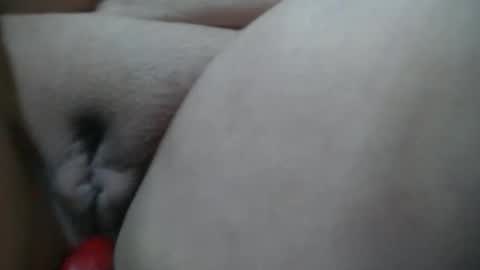 Cheila online show from January 2026 01:48:02 PM