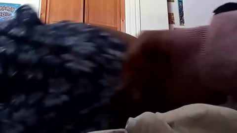 ChemicalX  online show from March 2026 08:13:02 PM