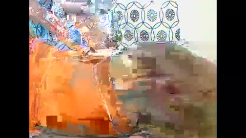 JANE online show from January 2025 06:31:02 AM