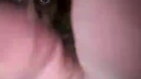 chuckied6969 online show from July 2026 03:04:02 PM