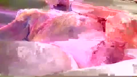 chummy50222 online show from December 2024 04:14:02 AM