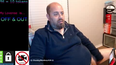 Spencer  Smokey Bear online show from February 2025 04:03:01 AM