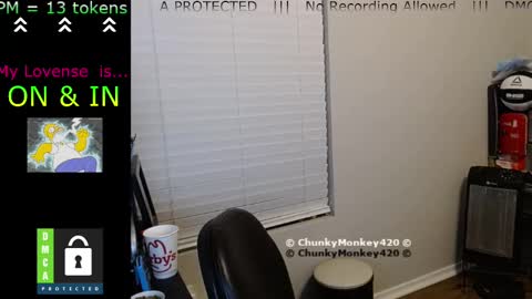 Spencer  Smokey Bear online show from February 2025 05:41:01 AM