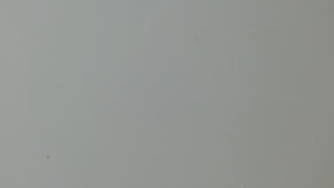 cinthia1609 online show from February 2025 02:03:02 AM