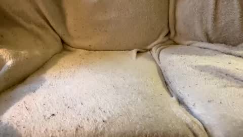 join the circle online show from December 2024 04:53:02 PM