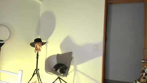 Snapshot of claudiarivera_1 chatting on October 2025 01:06:02 AM Claudia Rivera online show from October 2025 01:06:02 AM