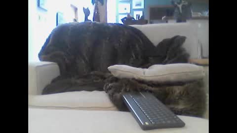 clitboy658752 online show from January 2026 09:42:01 PM