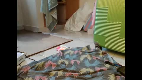 coco vixen9 online show from November 2025 09:12:02 AM