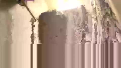 coconutts666 online show from November 2025 10:40:02 AM