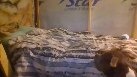 lickerpro69 online show from February 2026 10:33:01 AM