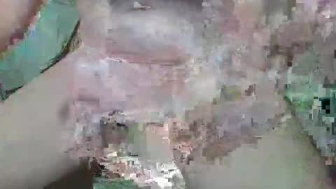 cogela_sin_miedo online show from October 2025 11:27:01 PM