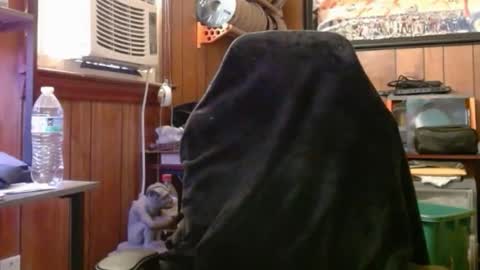 Snapshot of comic_king27 chatting on May 2026 10:28:01 PM Nelson or ComicKing and sometime Peachy143 online show from May 2026 10:28:01 PM