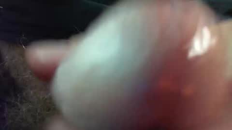 comox online show from March 2026 09:15:01 AM