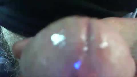 comox online show from April 2026 09:29:02 AM