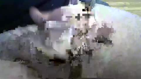 coneyguy online show from September 2025 01:26:02 PM