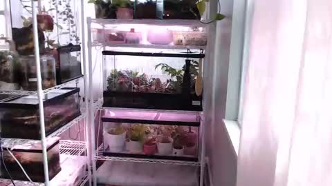 ANR Mommy online show from November 2025 03:44:01 PM