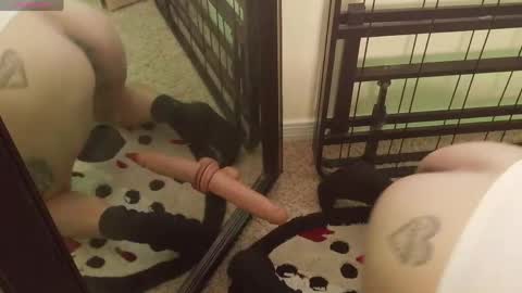 controllercutie online show from March 2026 11:09:01 PM