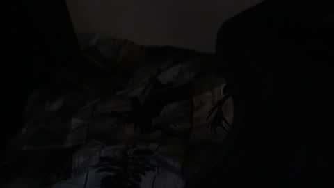 cooley77701 online show from February 2026 09:18:02 AM