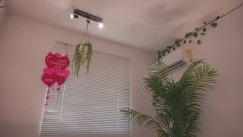 ROSELL 3   online show from February 2026 08:31:02 PM